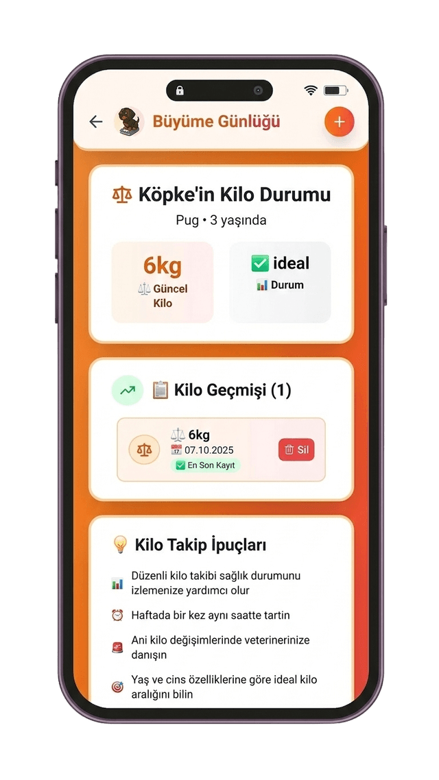 MyPet uygulama ekranı 5