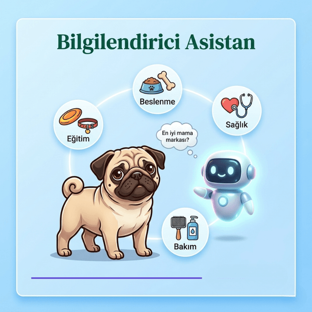 Bilgilendirici Asistan - evcil hayvan sorularını yanıtlayan yapay zeka asistan ekranı
